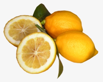 Lemons, Cut, Out - Meyer Lemon, HD Png Download, Free Download