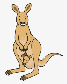 Kangaroo - Clipart Kangaroo, HD Png Download, Free Download