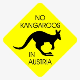 Transparent Kangaroo Clipart Png - No Kangaroo In Austria, Png Download, Free Download