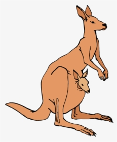 Jumping Kangaroo Clipart Free - Transparent Background Kangaroo Clip Art, HD Png Download, Free Download