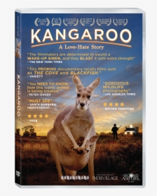 Kangaroo A Love Hate Story, HD Png Download, Free Download