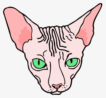 Angry, Sphynx, Sphinx, Cat, Pet - Sphinx Cat Line Drawing, HD Png Download, Free Download