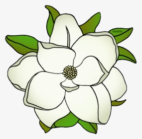 Louisiana State Flower - Mississippi State Flower Drawing, HD Png Download, Free Download