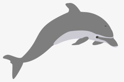 Dolphins Clipart, HD Png Download, Free Download