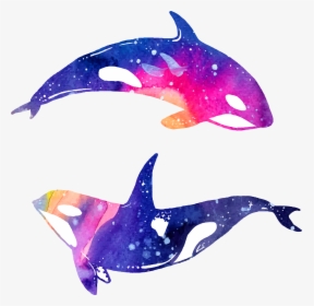 Dolphin Clipart Png - Dolphins Clipart, Transparent Png, Free Download