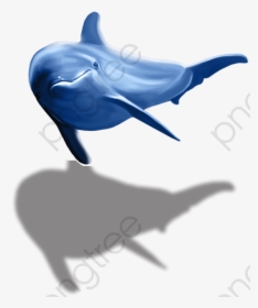 Transparent Dolphins Clipart - Dolphin Png, Png Download, Free Download