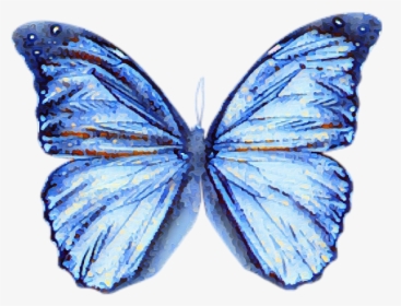 #butterfly #blue #watercolour #blur #effect - Butterfly Blue Transparent Watercolor, HD Png Download, Free Download