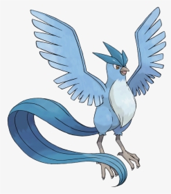 Pokemon Articuno, HD Png Download, Free Download