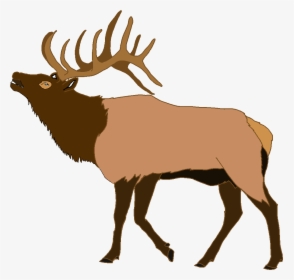 Elk Deer Clip Art - Elk Clipart, HD Png Download, Free Download
