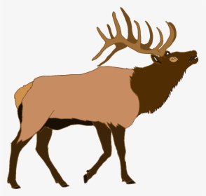 Elk Png Clipart - Printable Silhouette Of Elk, Transparent Png, Free Download