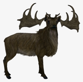 Elk - Skyrim Deer Png, Transparent Png, Free Download