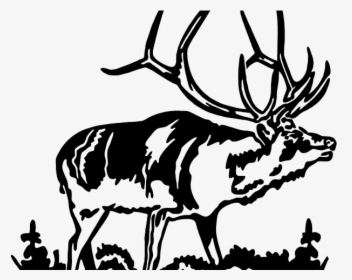 Bull Elk Clip Art, HD Png Download, Free Download