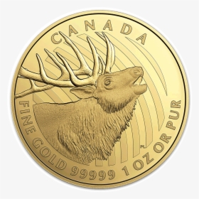 Elk Gold Rev - Gold Coin, HD Png Download, Free Download