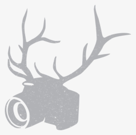 Elk, HD Png Download, Free Download