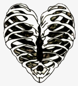 Edits Ribs Ribcage Heart Bones Art Stickers - Imagenes Dark Tumblr Png, Transparent Png, Free Download