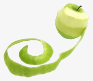 Green Apple With Long Peel - Peel The Apple Cartoon, HD Png Download, Free Download