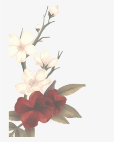 Transparent Shawn Mendes Logo Png - Shawn Mendes The Album Flowers, Png Download, Free Download
