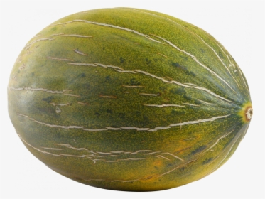 Download This High Resolution Melon Transparent Png - Melon Transparent, Png Download, Free Download