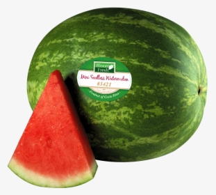 Watermelon Png Transparent Images - Watermelon Clip Art, Png Download, Free Download