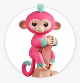 Fingerlings Monkey 2tone Ombre Melon - Fingerlings Baby Monkey Walmart, HD Png Download, Free Download