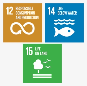 Transparent Ubs Logo Png - Un Sustainable Development Goal 12, Png Download, Free Download