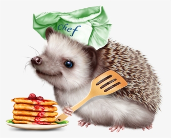 6314590 Hedgehog And Pancakes12 Hedgehog, Tube, Clip - Hedgehog Pancake, HD Png Download, Free Download