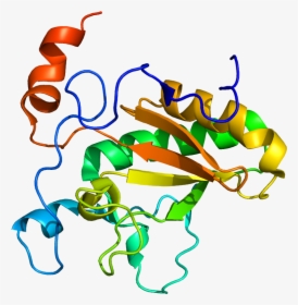 Protein Dhh Pdb 2wfq - Sonic Hedgehog Protein Structure, HD Png Download, Free Download