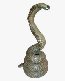 Rattlesnake Reptile King Cobra - Taxidermied Snake, HD Png Download, Free Download