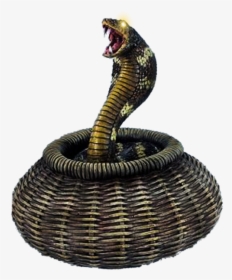 King Cobra Png Image Download - Snake Coming Out Of A Basket, Transparent Png, Free Download