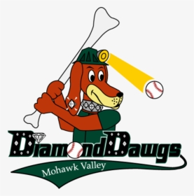 The Mohawk Valley Diamond Dawgs - Winter Park Diamond Dawgs, HD Png Download, Free Download