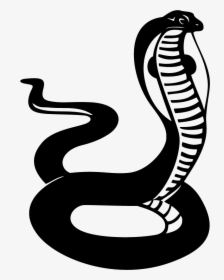 Transparent King Cobra Png - Cobra Snake Clipart Black And White, Png Download, Free Download