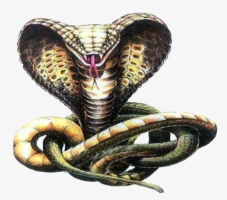 Transparent Python Clipart - King Cobra Drawing Tattoo, HD Png Download, Free Download