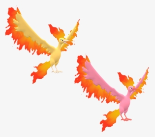Download Zip Archive - Pokemon Moltres 3d Model, HD Png Download, Free Download