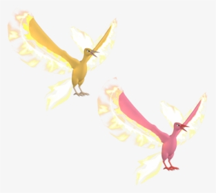 Transparent Moltres Png - Darkness, Png Download, Free Download