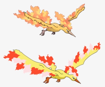 Pokemon Moltres, HD Png Download, Free Download