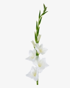 Artificial Flower, HD Png Download, Free Download