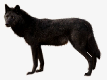 Black Wolf Png By Shadowedxle - Transparent Background Black Wolf Png, Png Download, Free Download