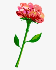 Red-flower Clip Arts - Stalk Of Flower Clipart, HD Png Download, Free Download