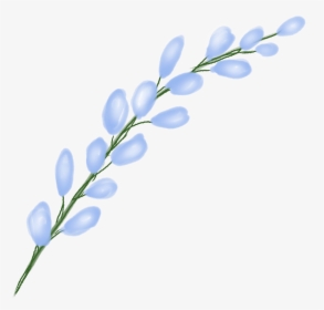 #flower #stem #floral #freetoedit - Lobelia, HD Png Download, Free Download