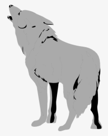Transparent Wolf Clipart - Transparent Coyote Clipart, HD Png Download, Free Download