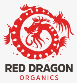 Reddragon Logo - Graphic Design, HD Png Download, Free Download