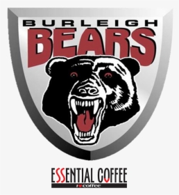 Burleigh Bears Rlfc - Burleigh Bears Logo Png, Transparent Png, Free Download