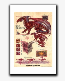 Red Dragon A Practical Guide To Dragons, HD Png Download, Free Download