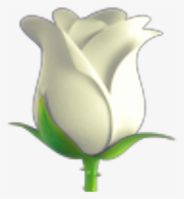 ~🌹might Need To Redo This - White Rose Emoji Png, Transparent Png, Free Download