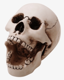 Open Mouth Ceramic Skull Ashtray - Skull Jaw Open, HD Png Download, Free Download