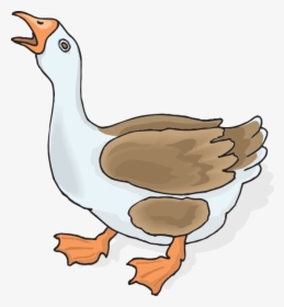 Png Clipart Goose Collection - Draw A Squawking Geese, Transparent Png, Free Download