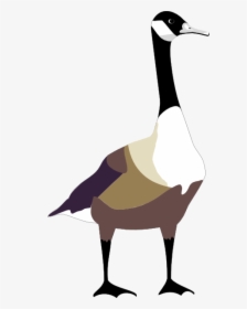 Bird Free Vector - Canada Goose Clipart, HD Png Download, Free Download