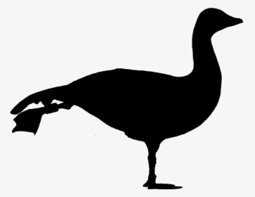 Goose, Silhouette, Morning Exercise, Funny, Stretch - Goose Silhouette Png, Transparent Png, Free Download