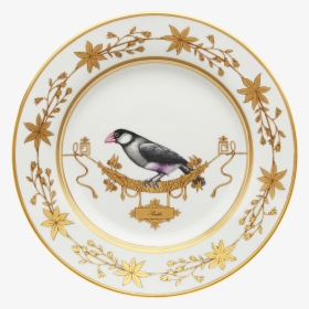 Richard Ginori Bird Plates, HD Png Download, Free Download