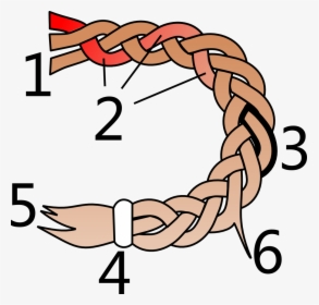 Parts Of A Hair Braid - Parts Of A Braid, HD Png Download, Free Download